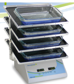 QuadRocker™ with four non-slip rubber mat platforms, 115V with US Plug